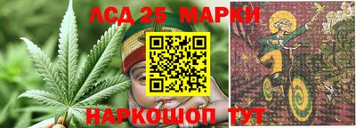 бошки Краснодар