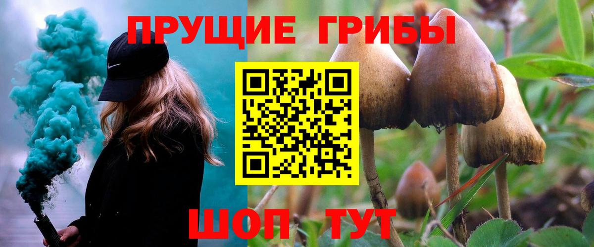 Псилоцибиновые грибы MAGIC MUSHROOMS Канаш